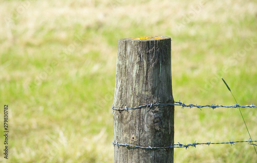 Wooden Post Barbed Wire