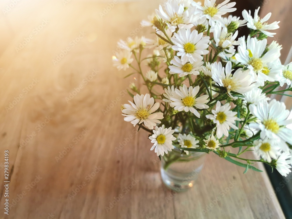 White flowers in metal pot on the wooden background with copy space
