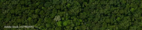 Aerial top view green tree forest, Texture of tropical rainforest, Forest view from above ecosystem and healthy environment concept and background, with copy space design for web banner.