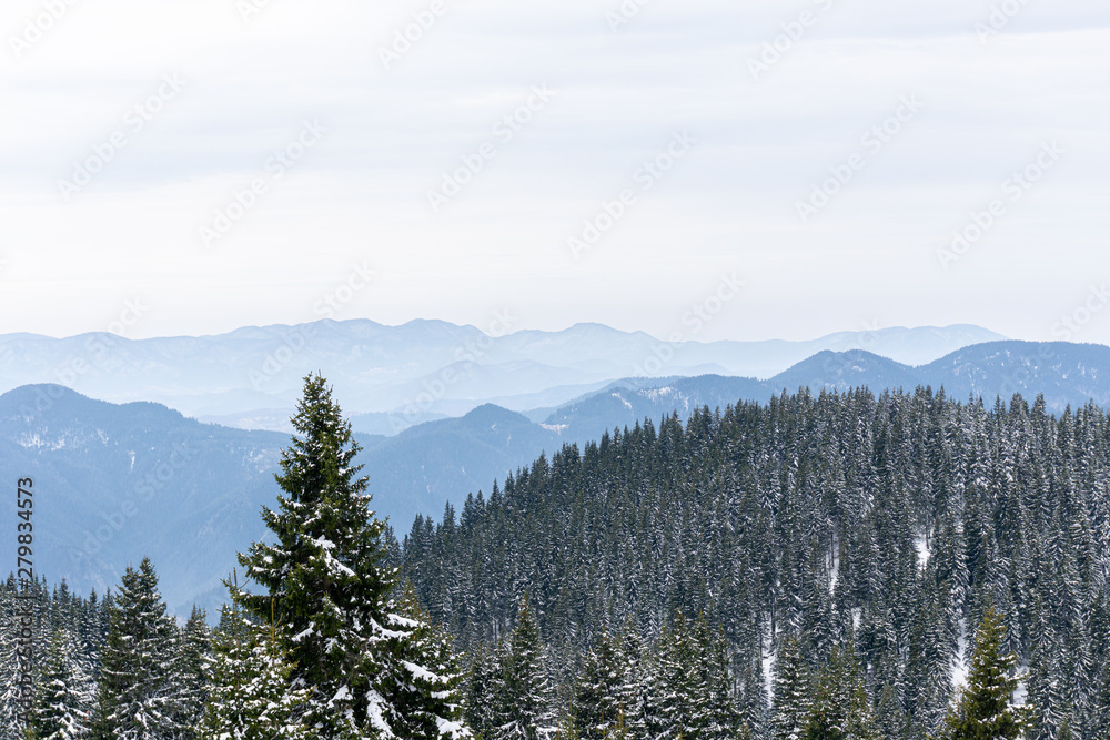 Mountain, trees and snow