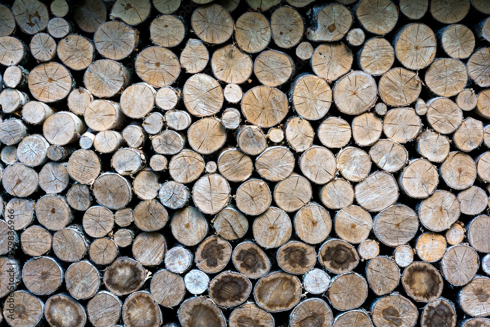 logging, tree trunks cut down and laid. Abstract background logging, tree trunks cut down and laid. Abstract background