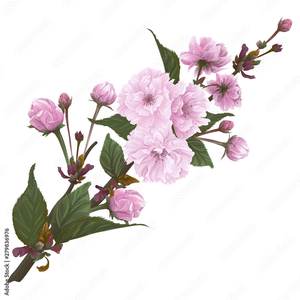 Obraz premium Beautiful branch with flowers cherry blossom. Sakura flowers. Vector illustration, EPS 10.