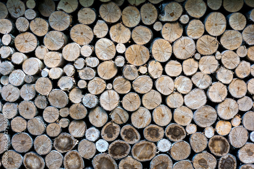 logging, tree trunks cut down and laid. Abstract background