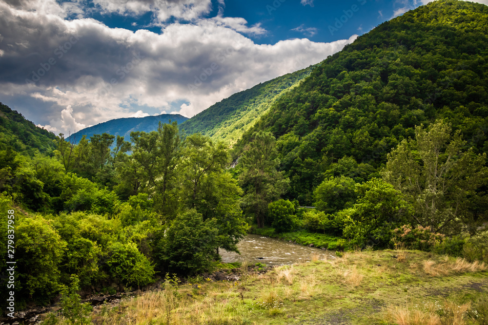 River through forest and mountains, cloudy sky. Ibar river in Serbia