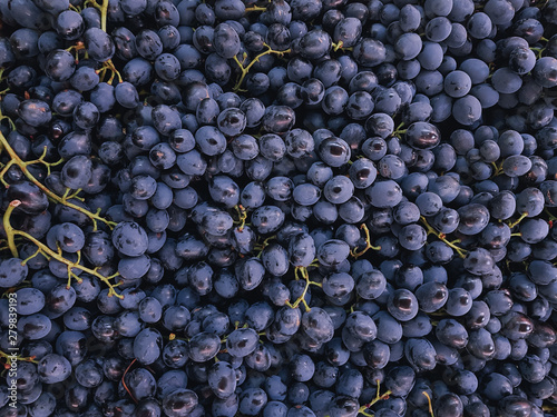 raw organic sweet purple grapes background