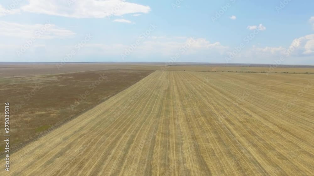 AERIAL: Landscape with wheat field and blue sky. Agricultural grounds Flying over fields after harvest and uncultivated fields, aerial video AERIAL: Landscape with wheat field and blue sky. Agricultural grounds Flying over fields after harvest and uncultivated fields, aerial video