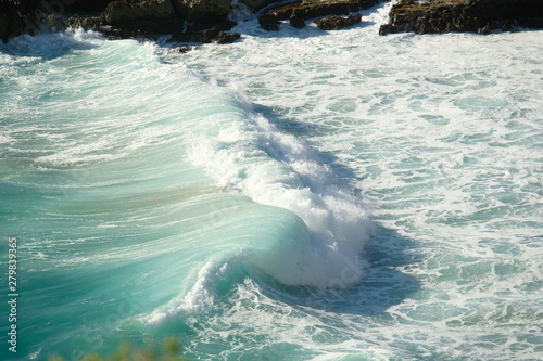 Canvas-taulu ecume de mer