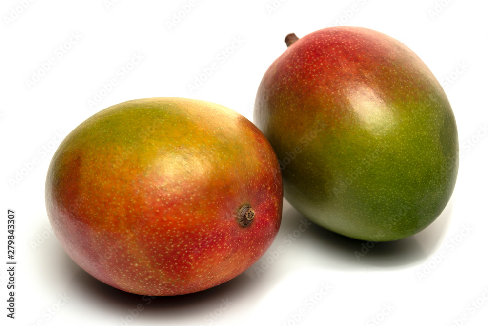 two mango fruit isolated on white background two mango fruit isolated on white background