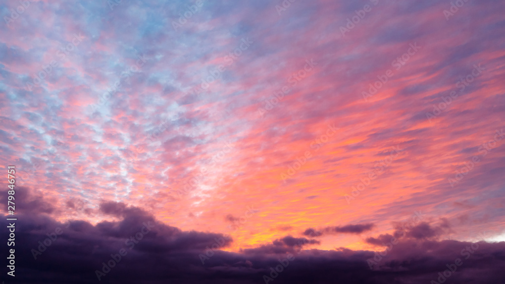 Pink cumulus clouds in the sky during sunset