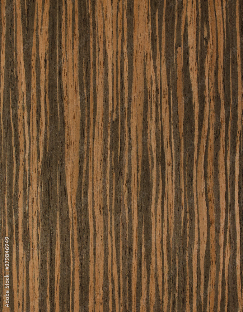 Fototapeta premium drewno tło tekstura deseń