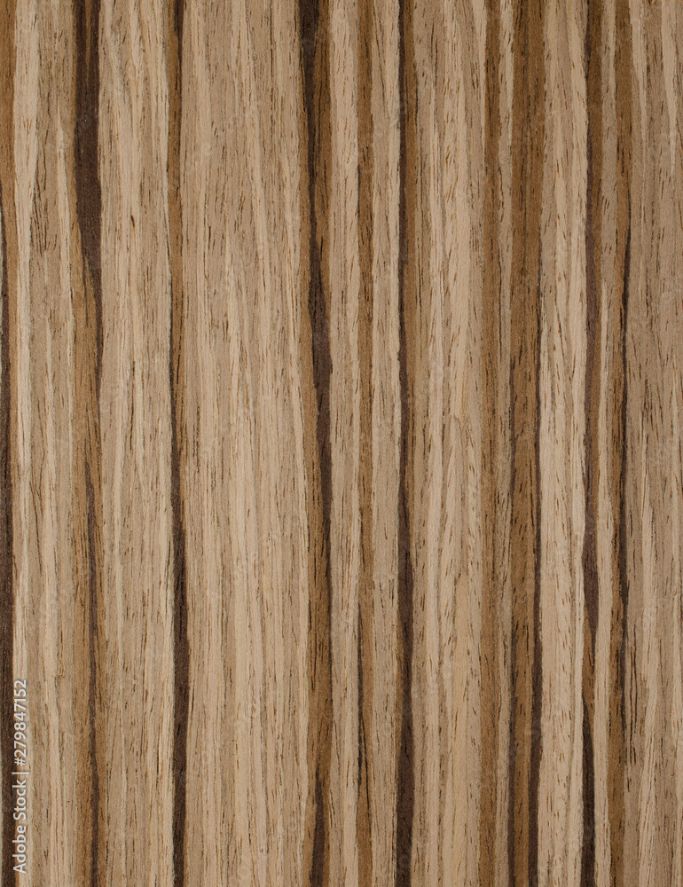 Obraz premium drewno tło tekstura deseń