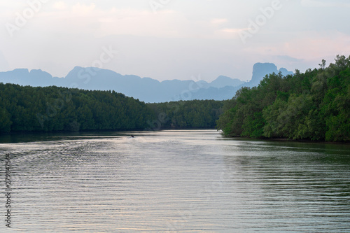 Lanscape of a big river surronded by forests and mountain on the background. This river is used by locals for commuting.