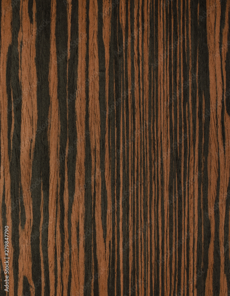 Obraz premium drewno tło tekstura deseń
