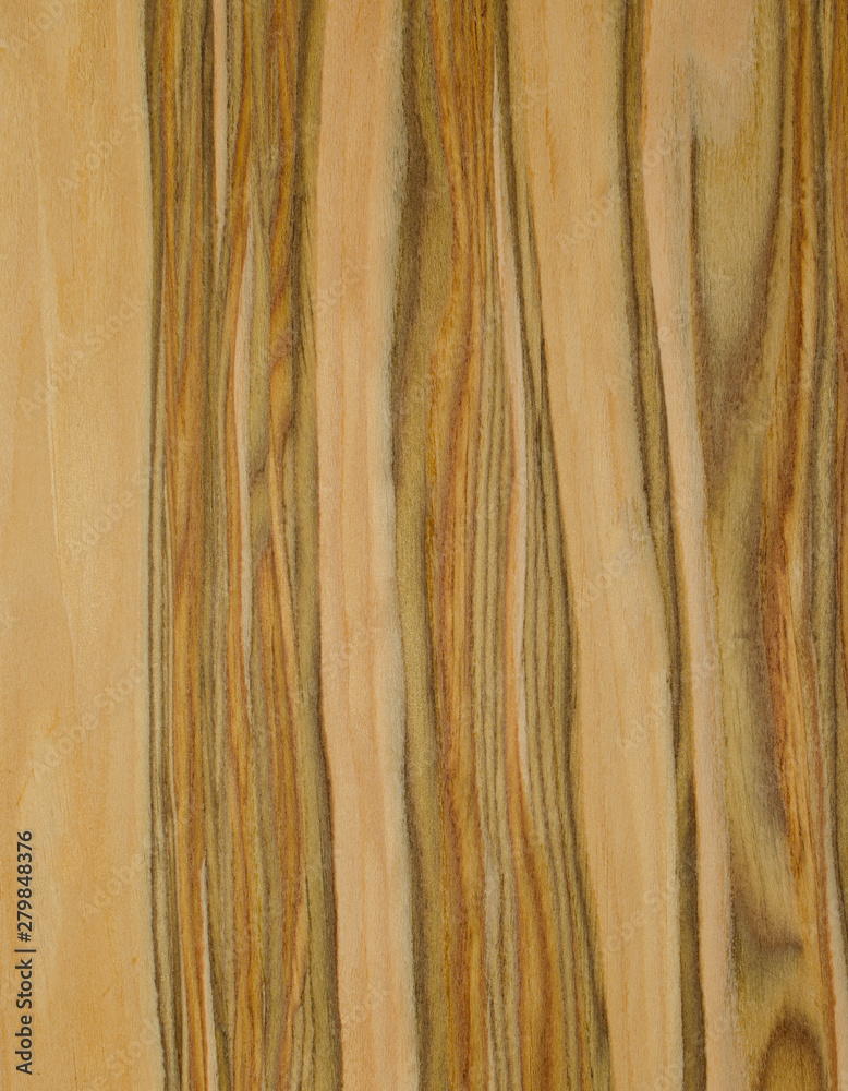 Obraz premium drewno tło tekstura deseń