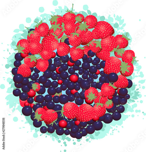vector summer berries strawberry currant illustration circle