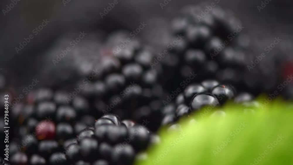 Blackberry background. Fresh ripe organic blackberries closeup. Rotation. Slow motion 4K UHD video footage. 3840X2160 Blackberry background. Fresh ripe organic blackberries closeup. Rotation. Slow motion 4K UHD video footage. 3840X2160