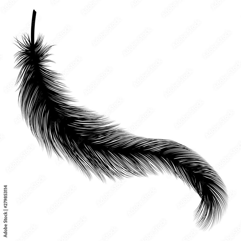 Obraz premium Feather isolated. Vector illustration. EPS 10.