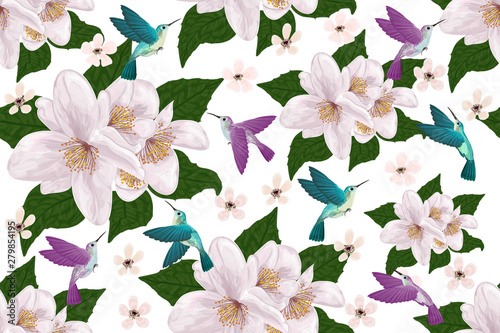 Beautiful  seamless pattern with jasmine flowers and hummingbird is painted in watercolor. Vector illustration. 