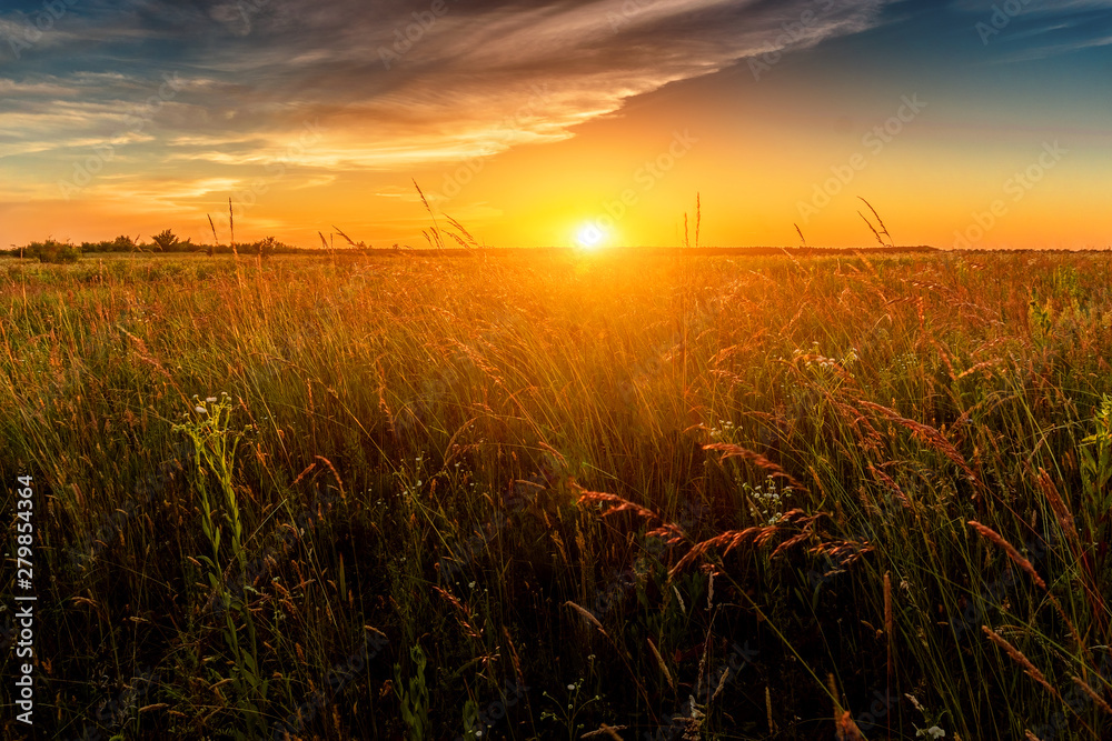 Landscape with a plain wild grass field and sunset sky above.