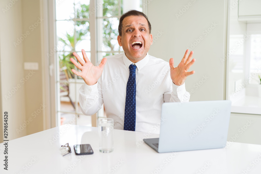 Middle age business man working with computer laptop celebrating crazy and amazed for success with arms raised and open eyes screaming excited. Winner concept Middle age business man working with computer laptop celebrating crazy and amazed for success with arms raised and open eyes screaming excited. Winner concept