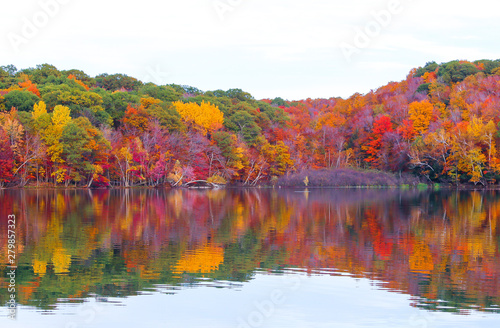 Beautiful maple forest by the lake, Saint-Bruno, Quebec, Canada