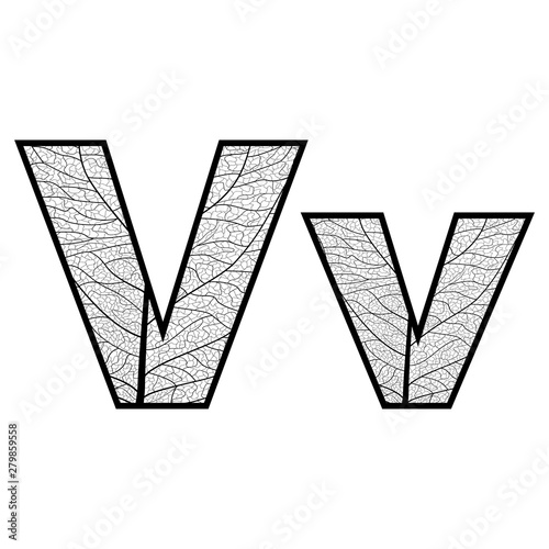 Set of eco Latin  letters texture leaf vein. Vector illustration. EPS 10.
