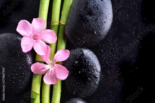pink flower with black stones and bamboo grove on Wet black background. Spa Concept
