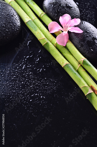 pink flower with black stones and bamboo grove on Wet black background. Spa Concept