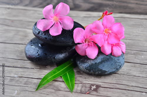 Flower with zen stone on wood background