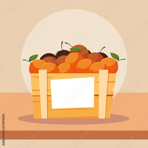 fresh oranges fruits in wooden crate
