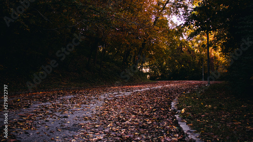 Fall Bend in the Road