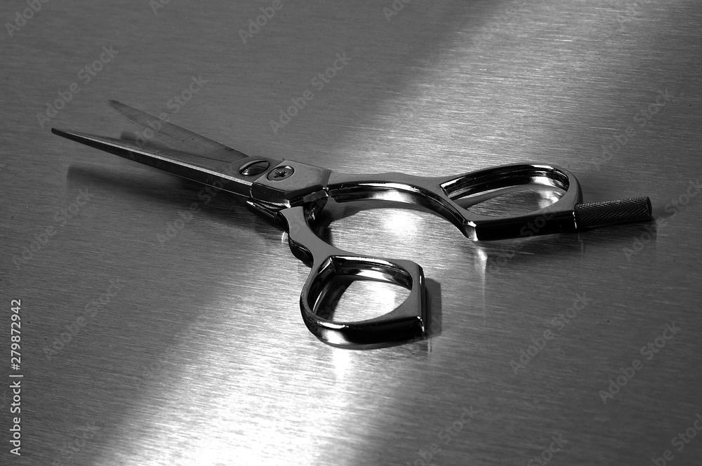 Hair Cutting Scissors on steel