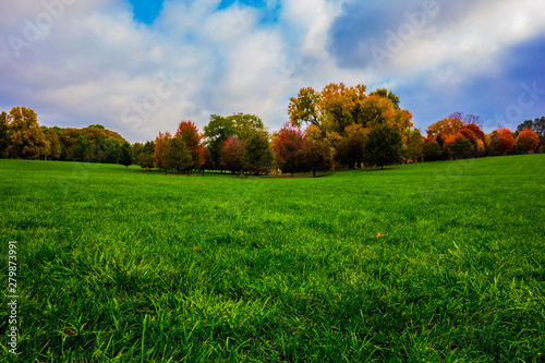 Autumn in the Park