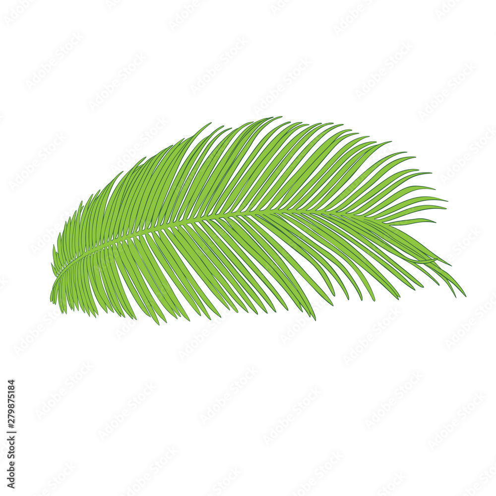Obraz premium Palm branch ink sketch. Isolated on white. Fashion floral print for a business card, banner, poster, wrapping, fabric, notebook, invitation
