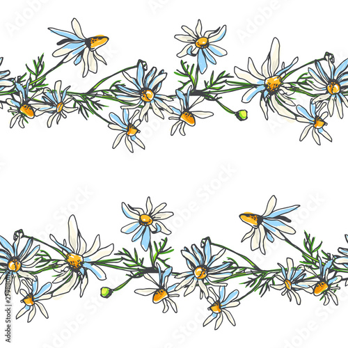 Vector seamless pattern with chamomile isolated on white. Hand drawn botanical texture with field flowers. Color floral sketch with camomile