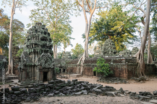 Asia, Cambodia, Siem Reap, UNESCO, World Heritage, Angkor, Ta Prohm photo