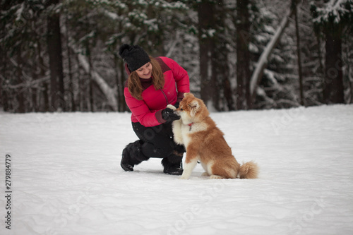 Fototapeta Naklejka Na Ścianę i Meble -  Portrait with a cute fluffy puppy. Winter walk with a dog.