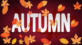 Autumn leaves background. Ad concept. Vector illustration