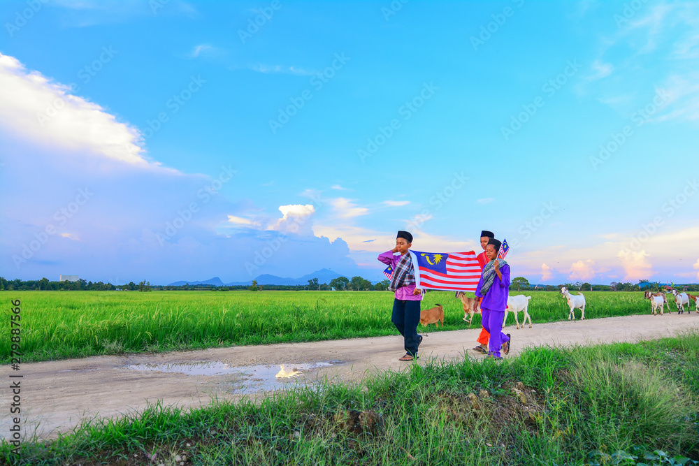 Independence Day concept - Three happy young local boy walking at paddy field holding a Malaysian flag Independence Day concept - Three happy young local boy walking at paddy field holding a Malaysian flag