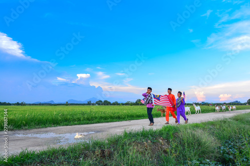 Independence Day concept - Three happy young local boy walking at paddy field holding a Malaysian flag