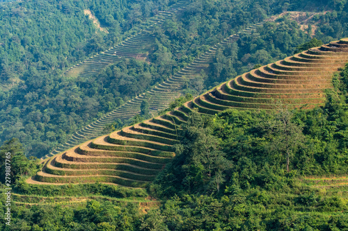 Asia,  Vietnam, Ho??ng Li?n Son Mountains, Sa Pa photo