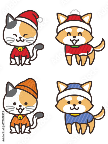 冬服を着た犬と猫