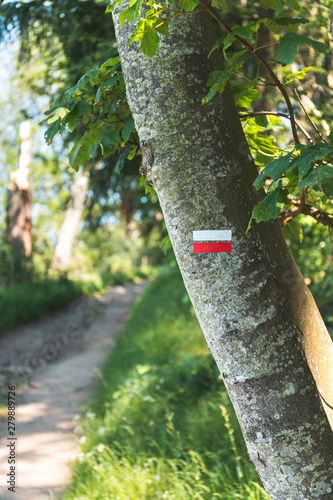 Chemin de randonnée avec marque de GR