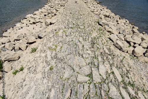 Rheintal bei Andernach im Sommer photo