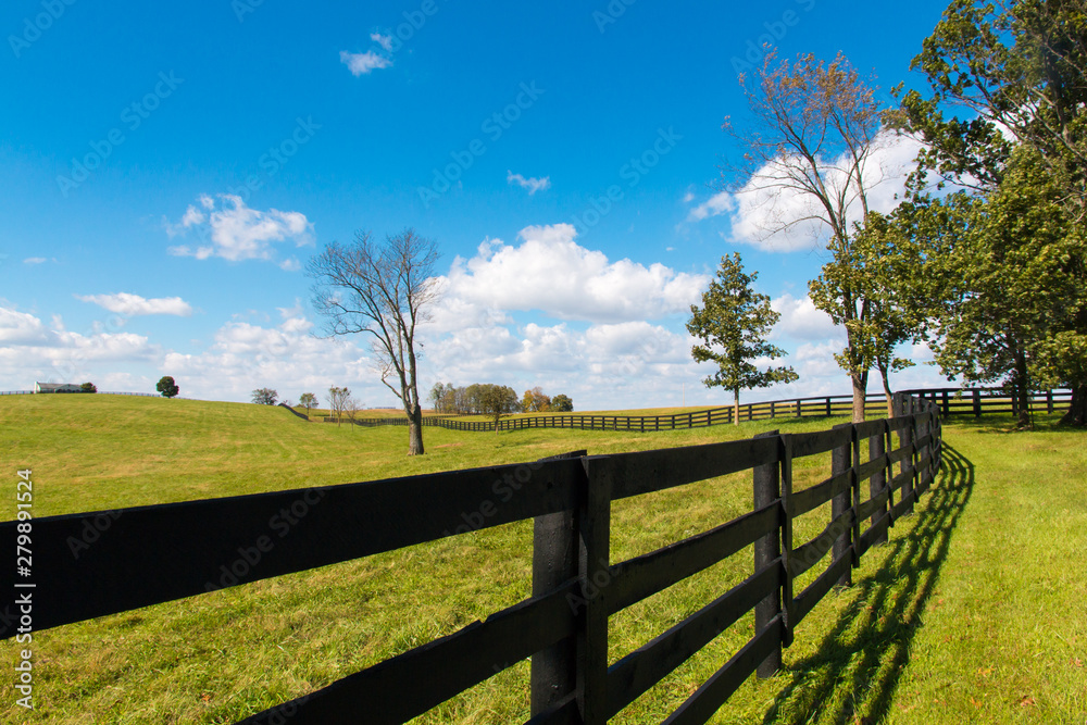 Green pastures of horse farms. Country landscape.