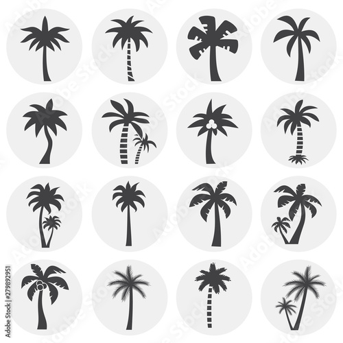 Palm tree related icon set on background for graphic and web design. Simple illustration. Internet concept symbol for website button or mobile app.