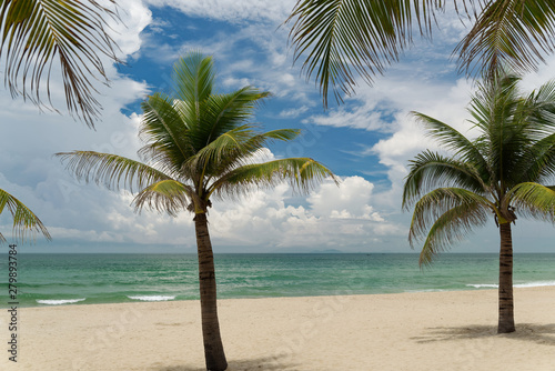 Fototapeta Naklejka Na Ścianę i Meble -  Palm trees on a beautiful sandy beach