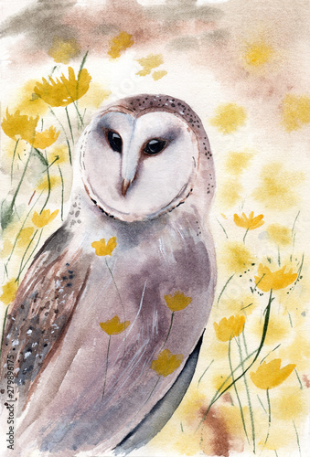 watercolir illustration of a barn owl in a field with bright yellow flowers photo