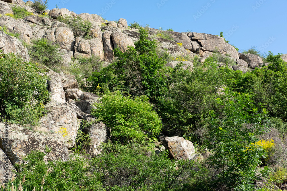 Photo of a beautiful highlands. Mountains and trees Photo of a beautiful highlands. Mountains and trees