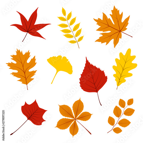 Set of autumn leaves on white background, vector illustration